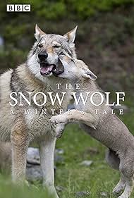 Watch Full Movie :The Snow Wolf A Winters Tale (2018)